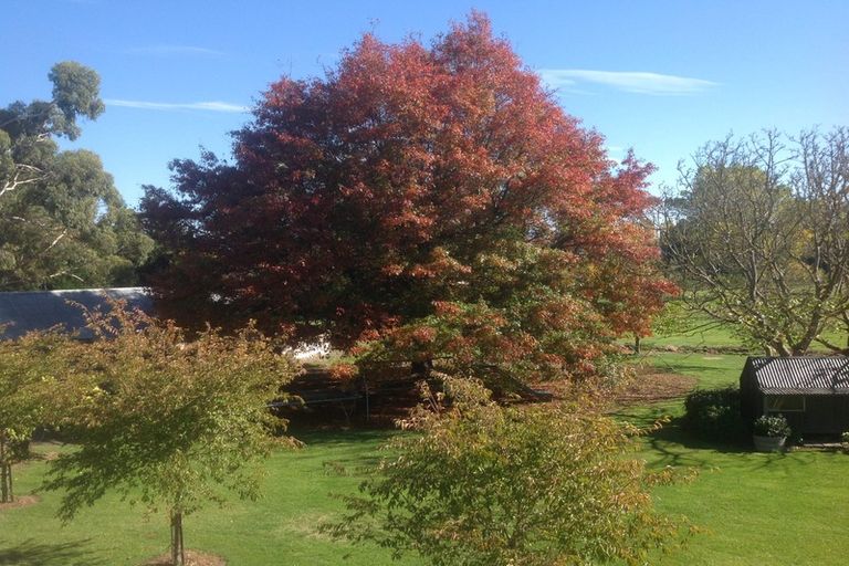 Photo of property in 555 Lower Sefton Road, Sefton, Rangiora, 7477