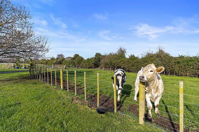 Photo of property in 100 Maungakawa Road, Ngarua, Morrinsville, 3374