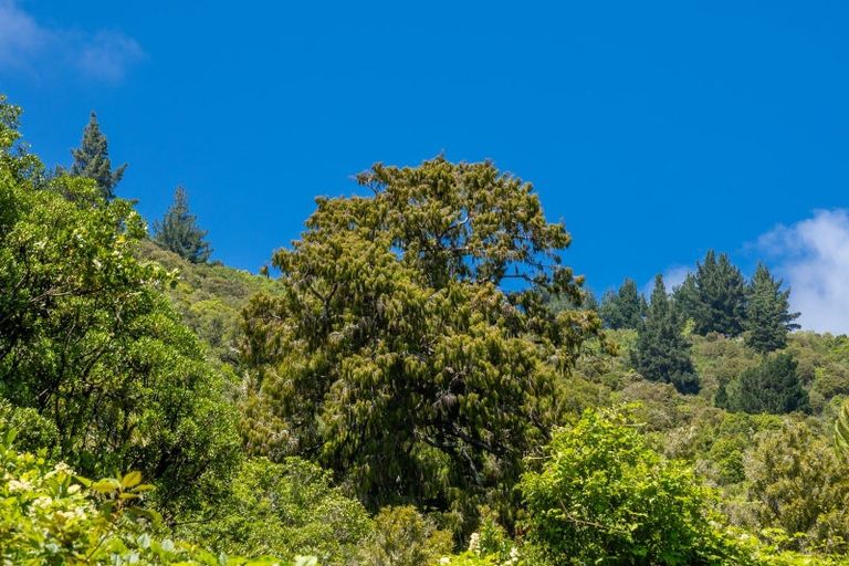 Photo of property in 185 Kanuka Rise, Wakapuaka, Nelson, 7071