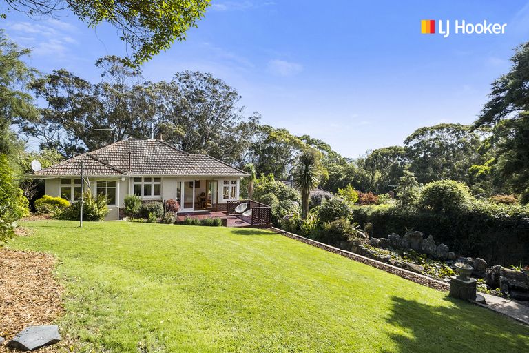 Photo of property in 49 Every Street, Andersons Bay, Dunedin, 9013