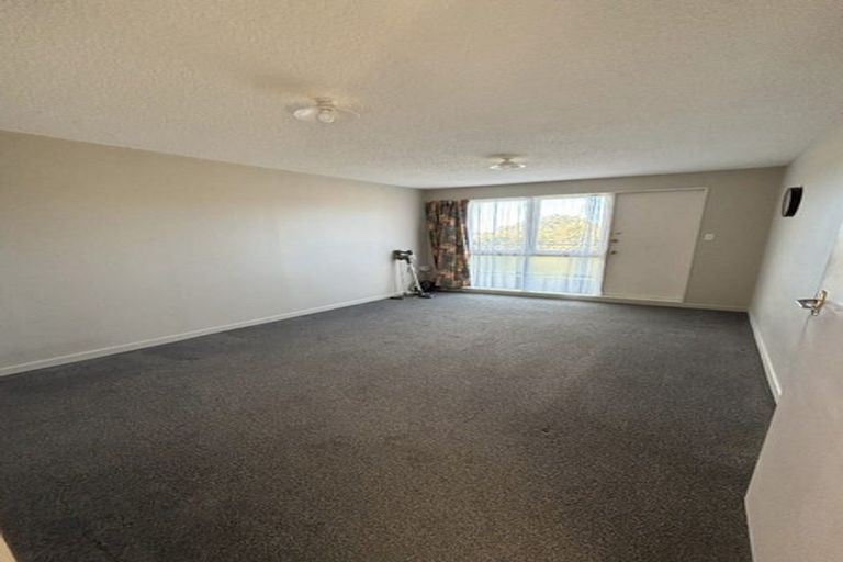 Photo of property in 25 Finnimore Terrace, Vogeltown, Wellington, 6021