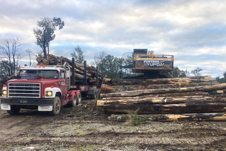 Photo of property in 496a State Highway 7, Kaiata, Greymouth, 7805