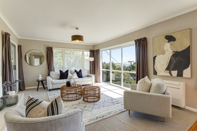 Photo of property in 46 Surrey Road, Richmond, 7020