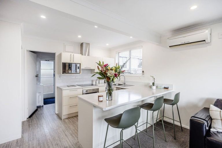 Photo of property in 6a Hereford Street, Roslyn, Dunedin, 9010
