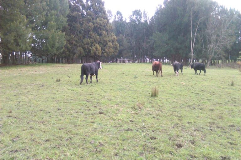 Photo of property in 20-26 Kauri Road, Whenuapai, Auckland, 0618