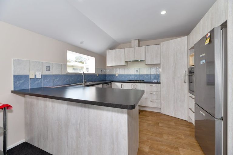 Photo of property in 55a Marion Avenue, Mount Roskill, Auckland, 1041