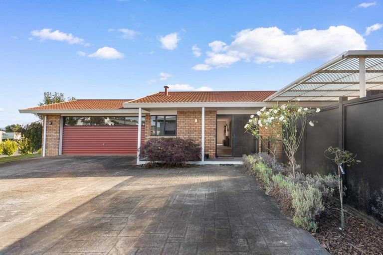 Photo of property in 38 Rushton Road, Morrinsville, 3300