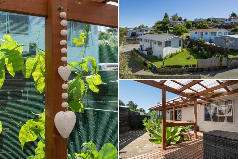 Photo of property in 110 Coopers Road, Gate Pa, Tauranga, 3112