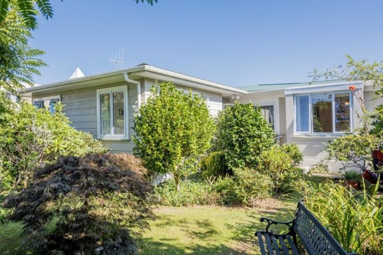 Photo of property in 84 Macarthur Street, Levin, 5510