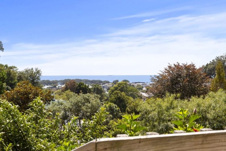 Photo of property in 24b Bracken Street, New Plymouth, 4310