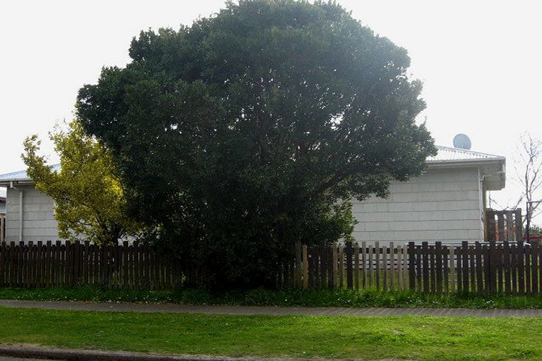 Photo of property in 36 Oregon Drive, Murupara, 3025