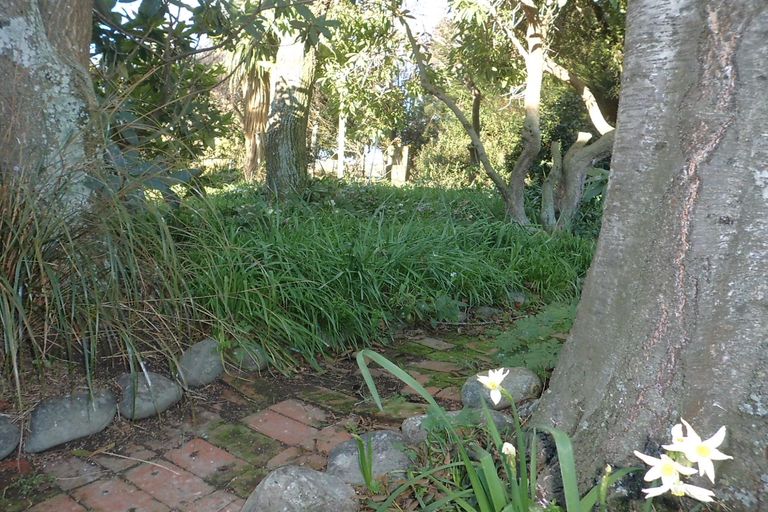 Photo of property in 8 Opuha Street East, Orari, Geraldine, 7992