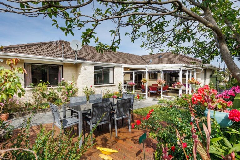 Photo of property in 155 Milson Line, Milson, Palmerston North, 4414