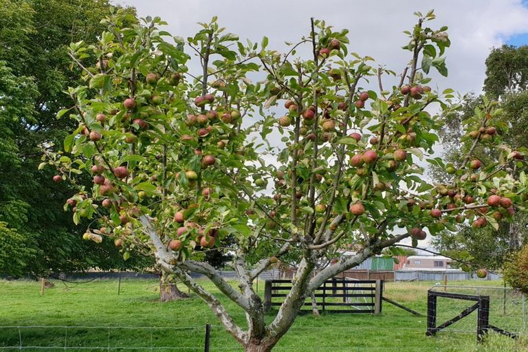 Photo of property in 166 Birchwood Road, Ohai, 9635