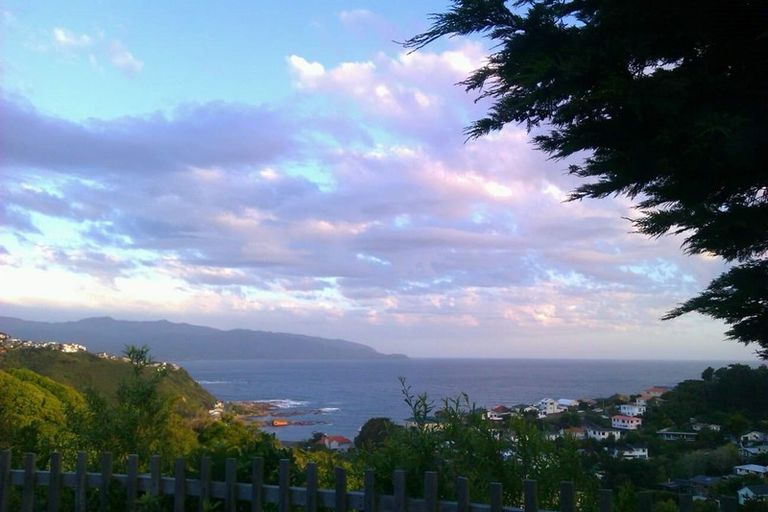 Photo of property in 58 Frobisher Street, Island Bay, Wellington, 6023