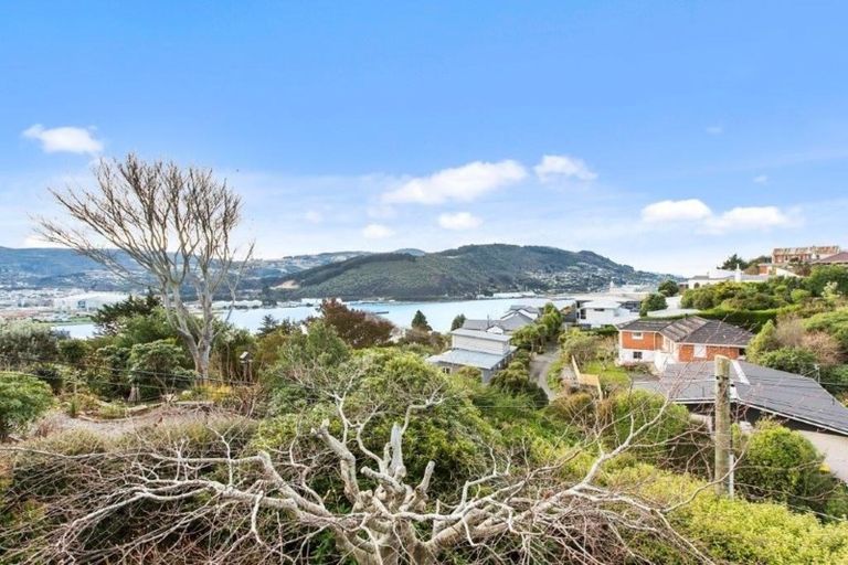 Photo of property in 110 Doon Street, Waverley, Dunedin, 9013