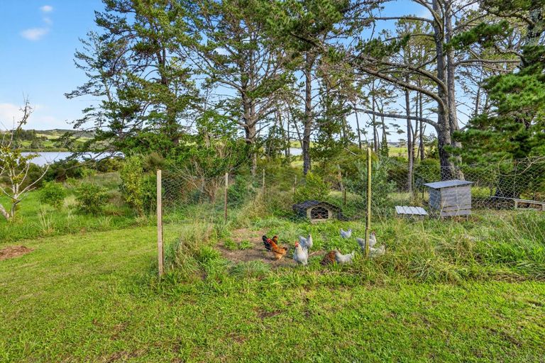 Photo of property in 263a Raepare Creek Lane, Kaiwaka, 0573