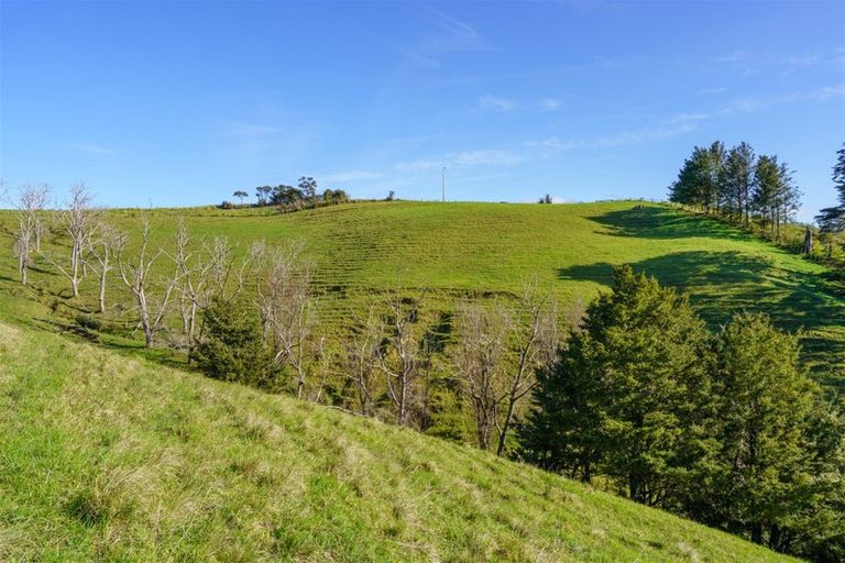 Photo of property in 1658 Ruapekapeka Road, Kawakawa, 0182