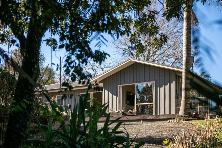 Photo of property in 25 Gilmour Street, Waihi, 3610