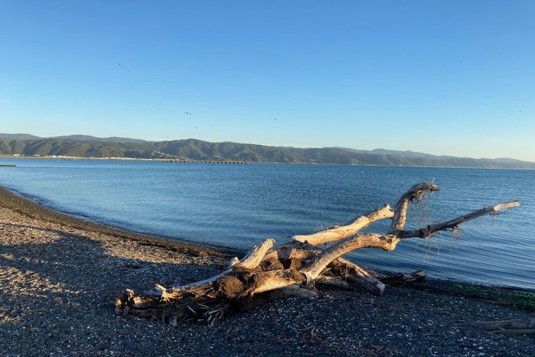 Photo of property in 1/274c Jackson Street, Petone, Lower Hutt, 5012