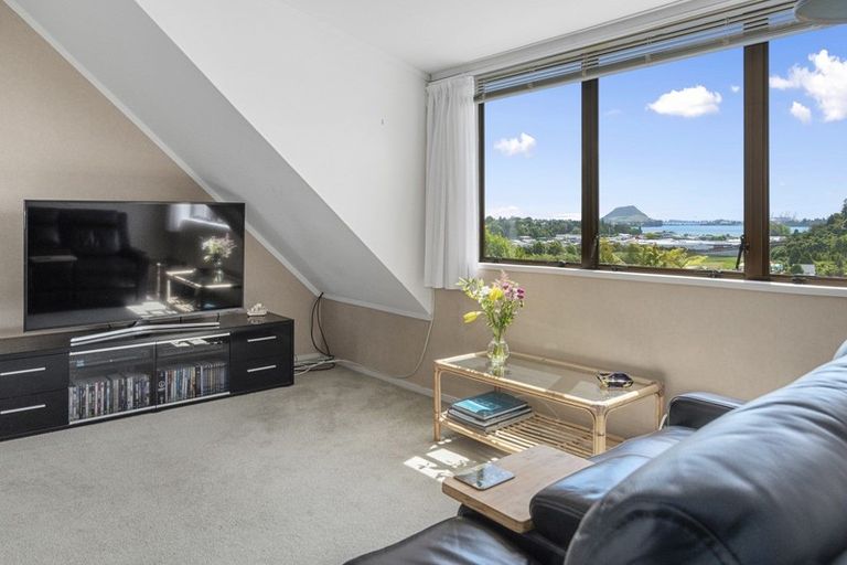 Photo of property in 1/19 Clarke Street, Gate Pa, Tauranga, 3112