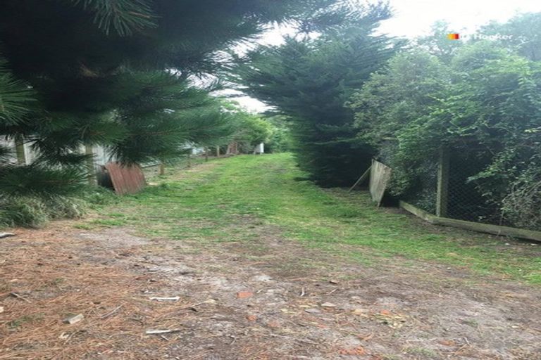 Photo of property in 316 Harington Point Road, Lower Portobello, Dunedin, 9077