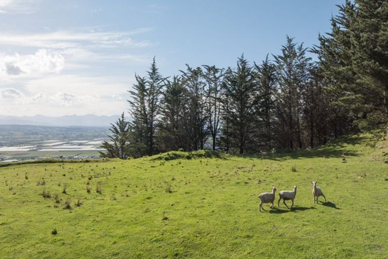 Photo of property in 14 Hillplough Heights, Richmond, 7020