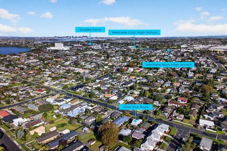 Photo of property in 2/164 Nile Road, Milford, Auckland, 0620