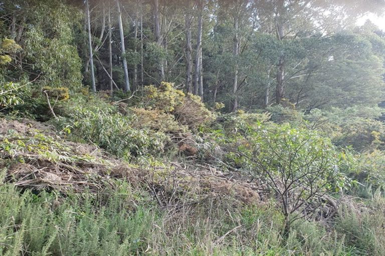 Photo of property in 44 Waikana Street, Broad Bay, Dunedin, 9014