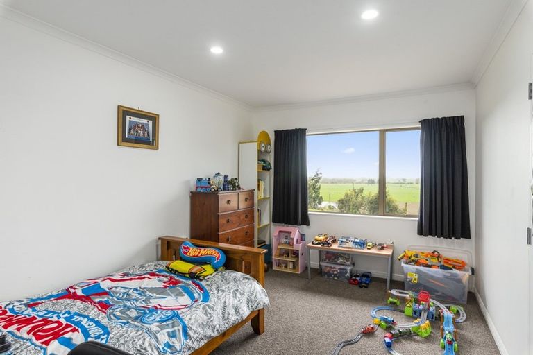 Photo of property in 91 Buckley Road, Shannon, Palmerston North, 4474