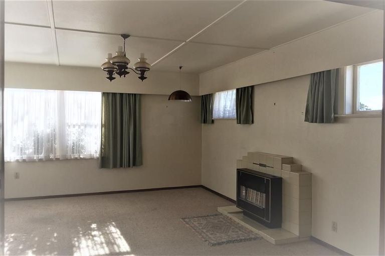 Photo of property in 45 Graham Street, Levin, 5510