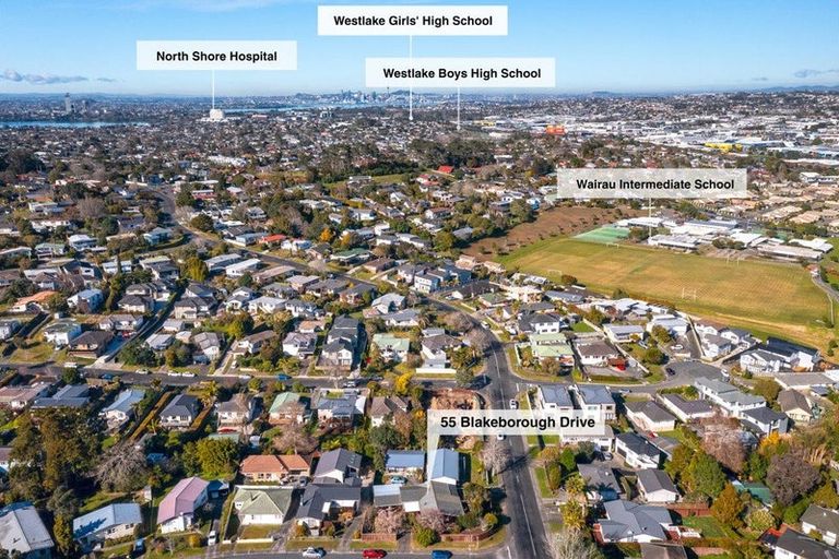 Photo of property in 55 Blakeborough Drive, Forrest Hill, Auckland, 0620