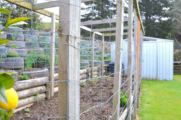 Photo of property in 54 Kea Street, Piopio, 3912