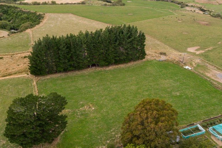 Photo of property in 91 Stanly Street, Eketahuna, 4900