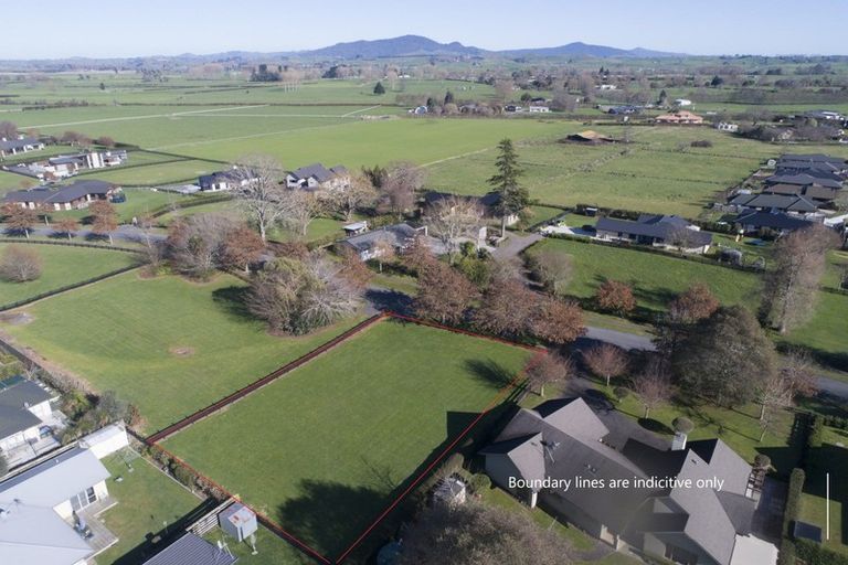 Photo of property in 11 Eldonwood Drive, Matamata, 3400