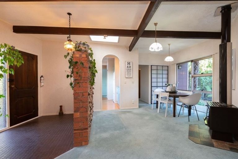 Photo of property in 48 Edinburgh Road, Hillcrest, Hamilton, 3216