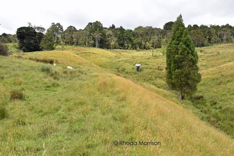 Photo of property in State Highway 12, Paparoa, Maungaturoto, 0583