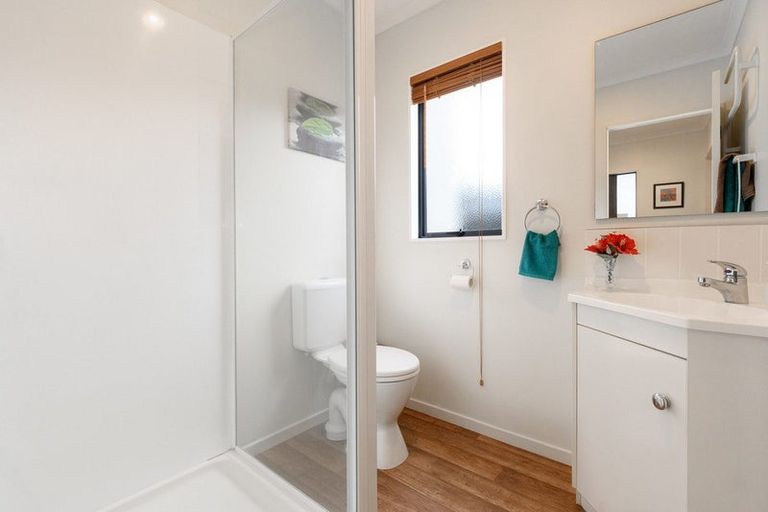 Photo of property in 48a Pine Avenue, Otumoetai, Tauranga, 3110