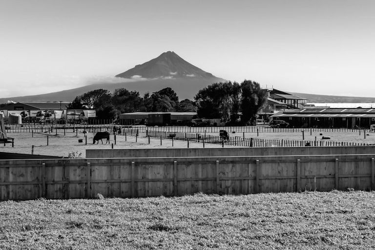 Photo of property in 38 Fantham Street, Hawera, 4610