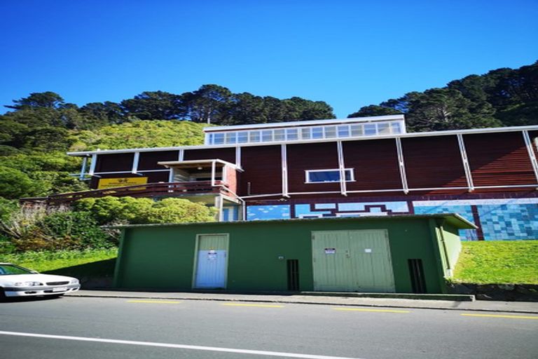 Photo of property in 133 Grant Road, Thorndon, Wellington, 6011