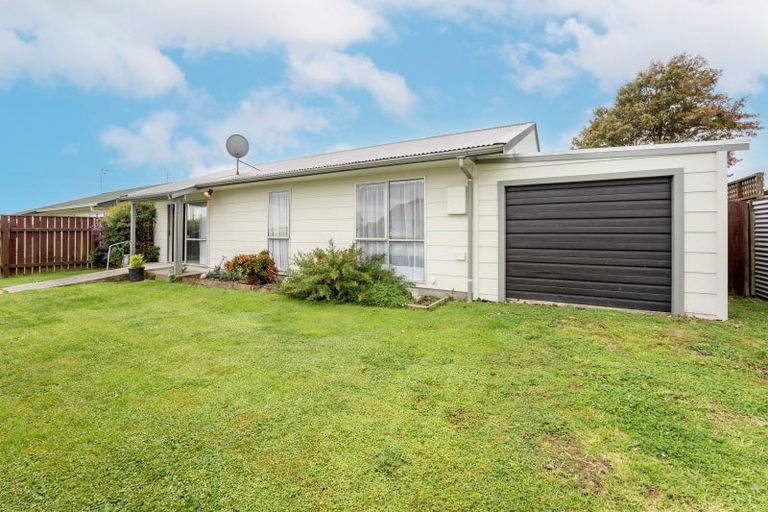 Photo of property in 101 Ryder Crescent, Levin, 5510