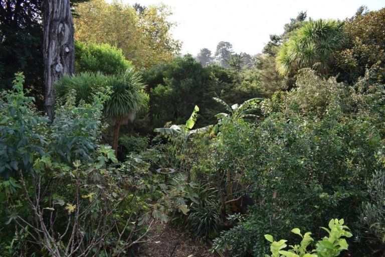 Photo of property in 1/59a Glencoe Road, Browns Bay, Auckland, 0630