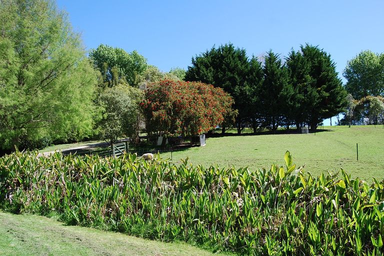 Photo of property in 24 Homestead Lane, Kaiwaka, 0573