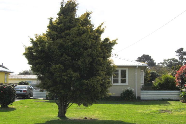 Photo of property in 30 Rimu Street, Gonville, Whanganui, 4501