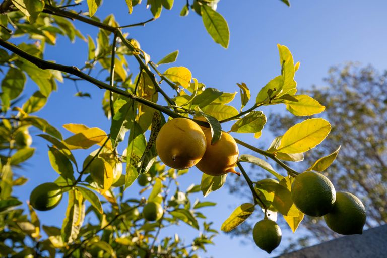 Photo of property in 105 Grove Street, The Wood, Nelson, 7010