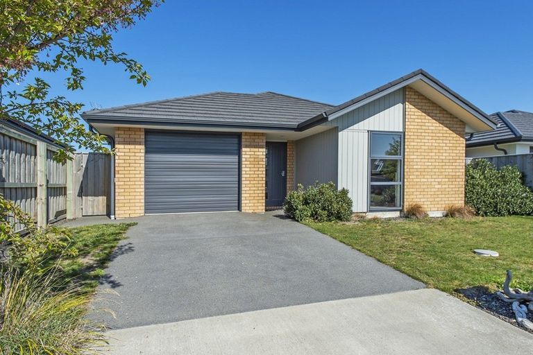 Photo of property in 29 Pakohe Street, Pegasus, 7612