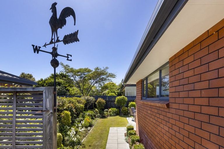 Photo of property in 105 Wither Road, Witherlea, Blenheim, 7201