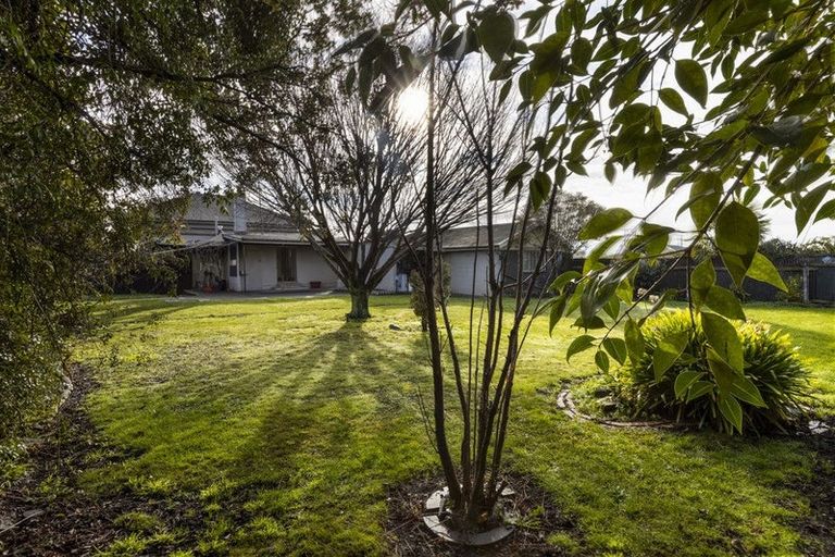 Photo of property in 102 Alabama Road, Redwoodtown, Blenheim, 7201