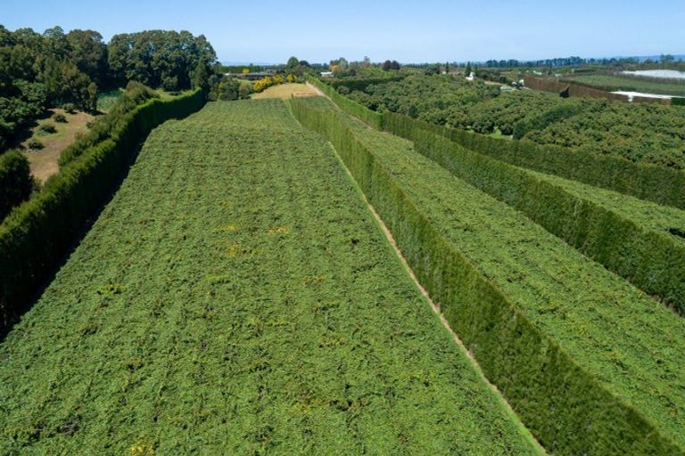 Photo of property in 215 Ongare Point Road, Tahawai, 3170