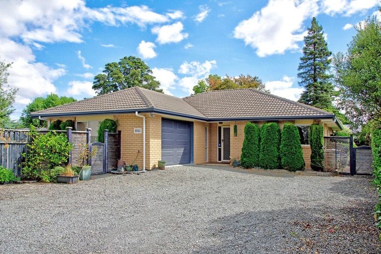 Photo of property in 13 Essex Street, Masterton, 5810